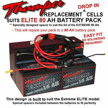 THUMPER BATTERY PACK REPLACEMENT BATTERIES