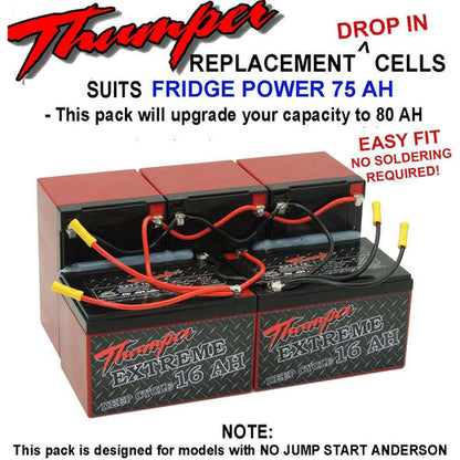 THUMPER BATTERY PACK REPLACEMENT BATTERIES